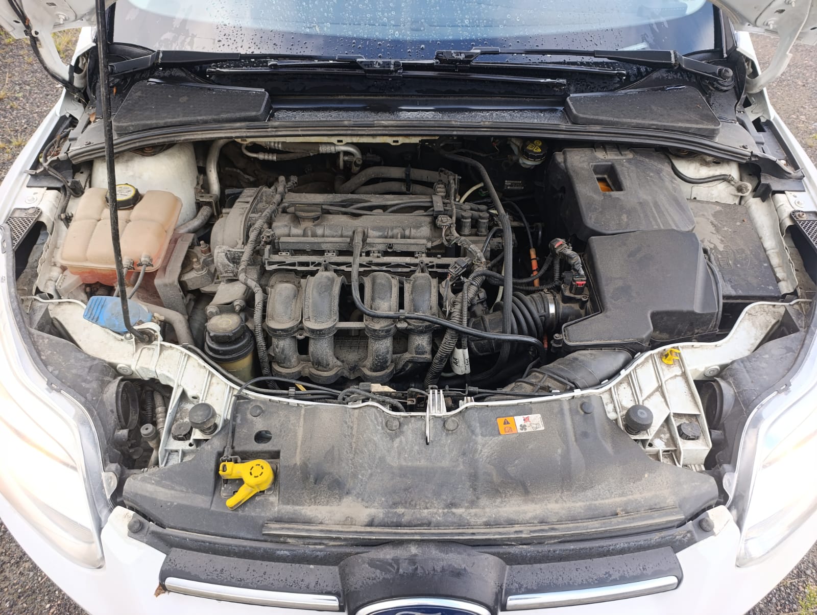 FORD FOCUS 1,6АТ
