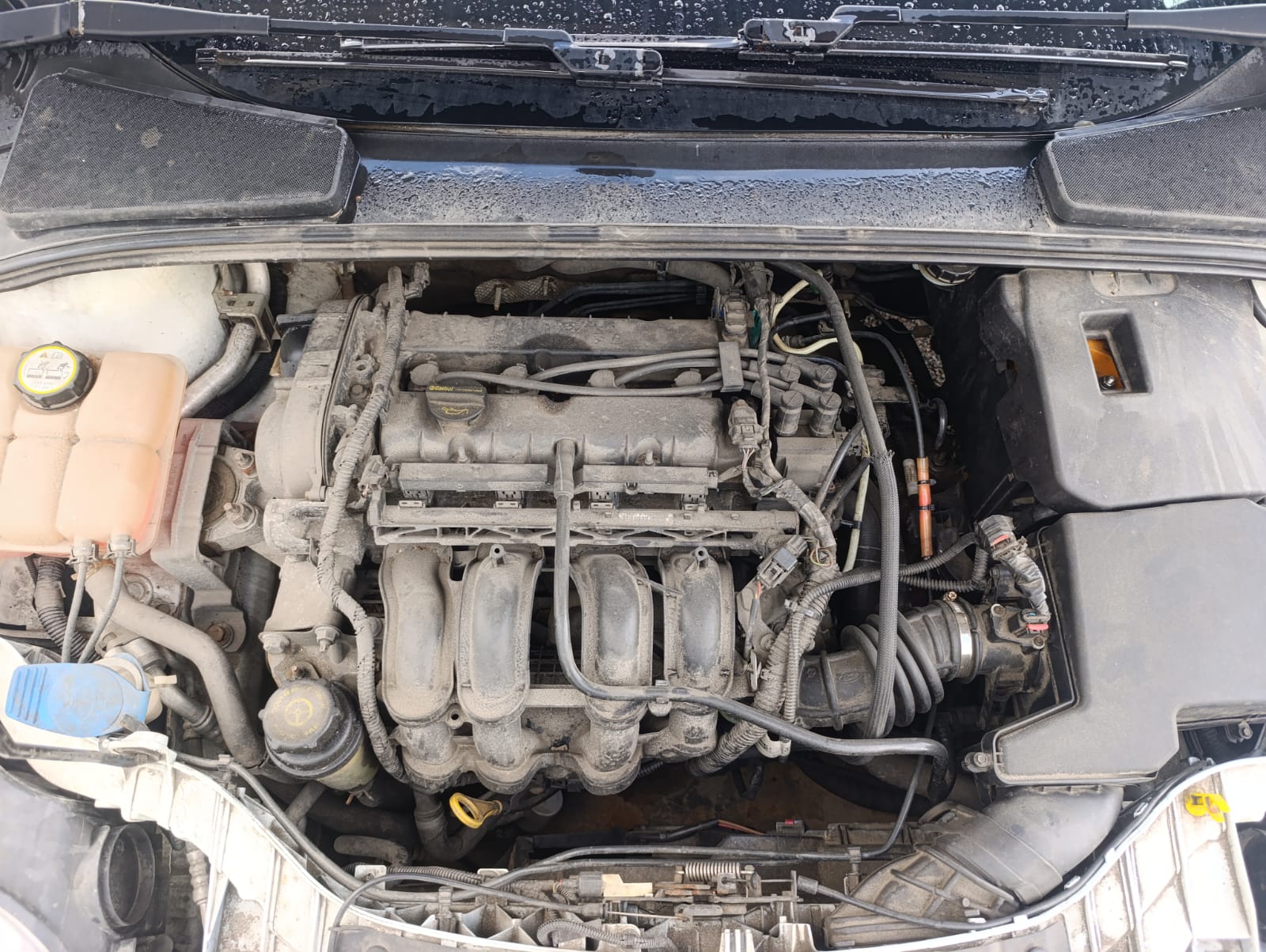 FORD FOCUS 1,6АТ